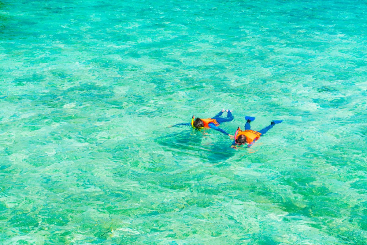 Snorkelers in clear tropical water
